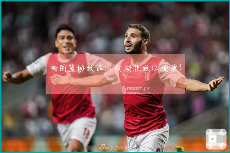 中国篮协致函：向湖北致以谢意！
