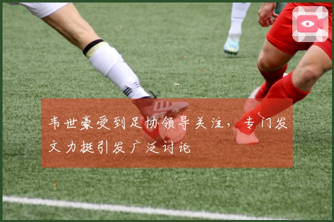 韦世豪受到足协领导关注，专门发文力挺引发广泛讨论