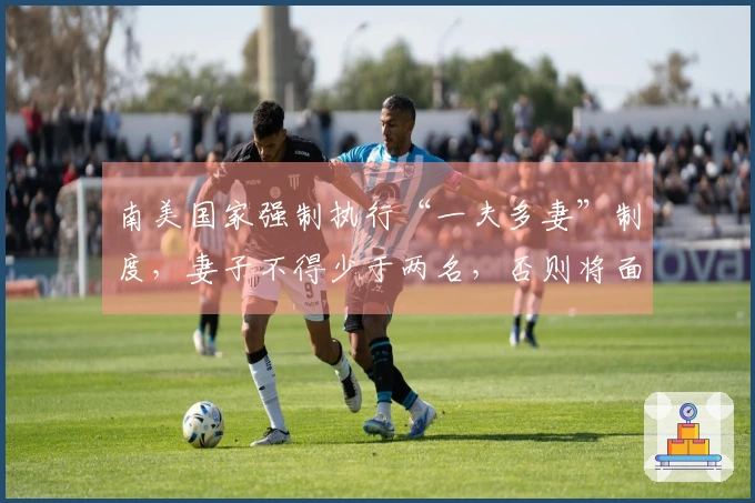 南美国家强制执行“一夫多妻”制度，妻子不得少于两名，否则将面临监禁？