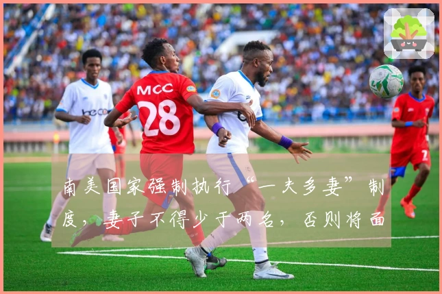 南美国家强制执行“一夫多妻”制度，妻子不得少于两名，否则将面临监禁？
