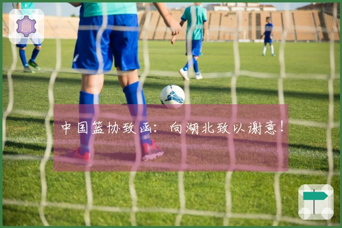 中国篮协致函：向湖北致以谢意！