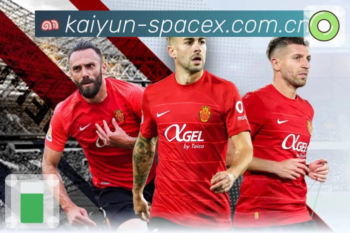 <strong>开云</strong>App 功能展示